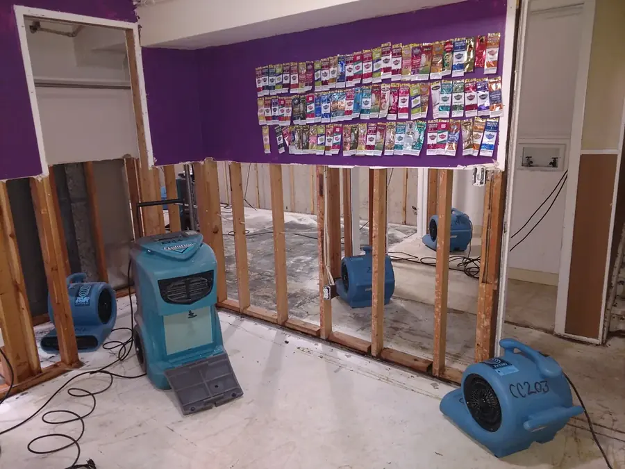 Flood-cut walls and air movers drying a Milwaukee basement