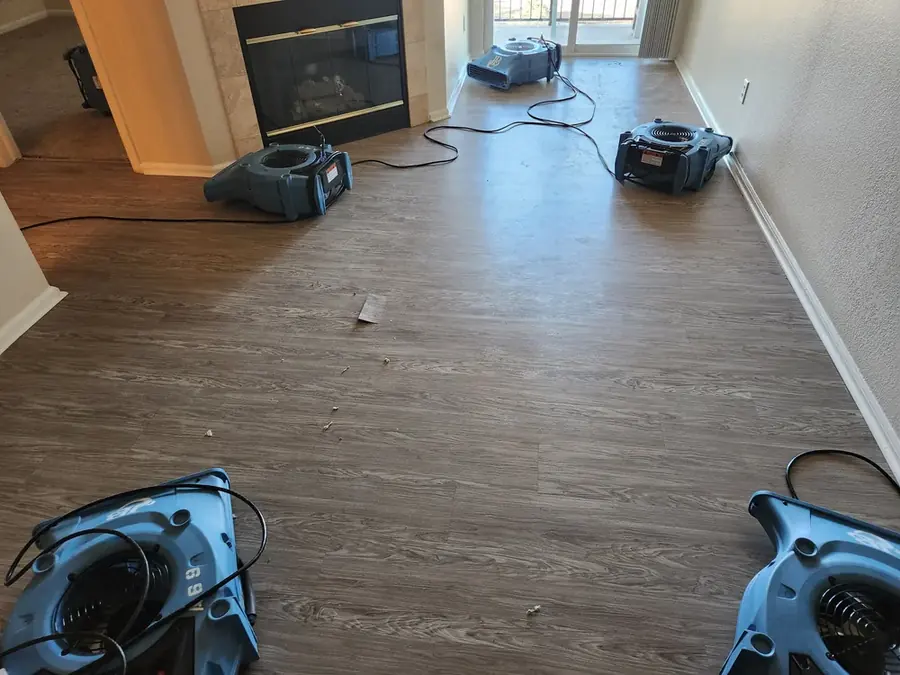 Foundation and Wall Seepage in Milwaukee